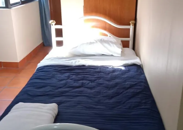 Coyoacan Alcaldia Cerca De La Unam Guest House Amatl