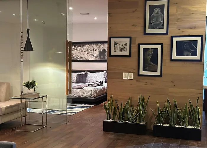 Luxurious And Exotic Apartment In Reforma 222