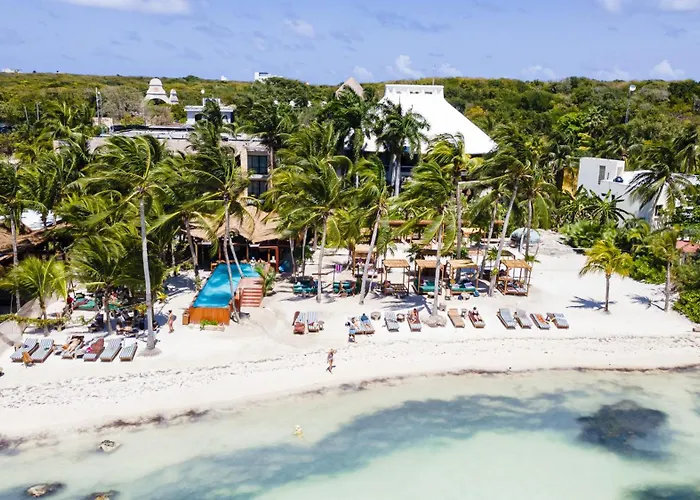 Mayan Monkey Isla Mujeres - Social Hotel (Adults Only)