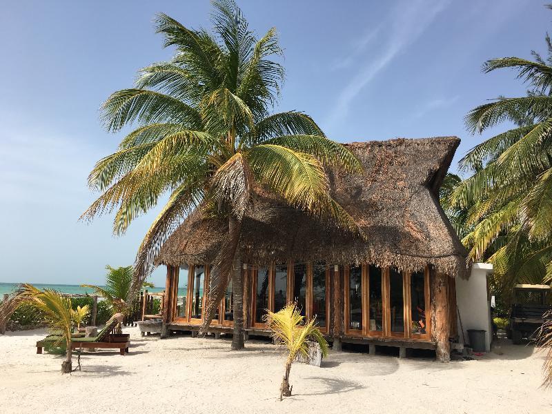 Rhincodon Typus 4* Isla Holbox