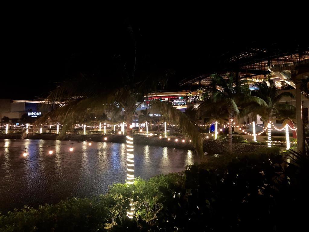 Marina Zone Cancun