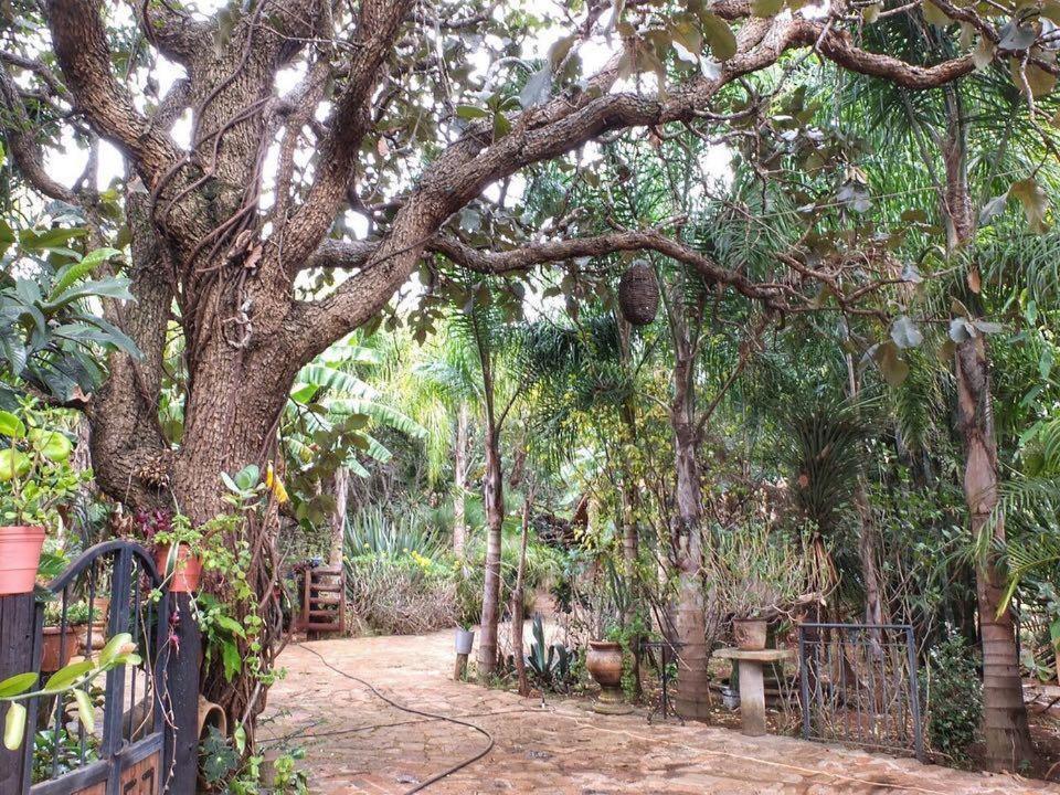 Country house La Cabana Agua Blanca *