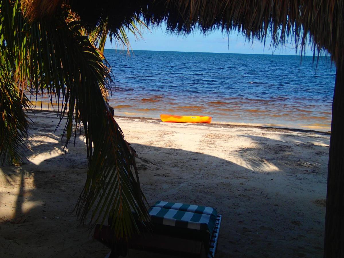 Margarita Del Sol Costa Maya