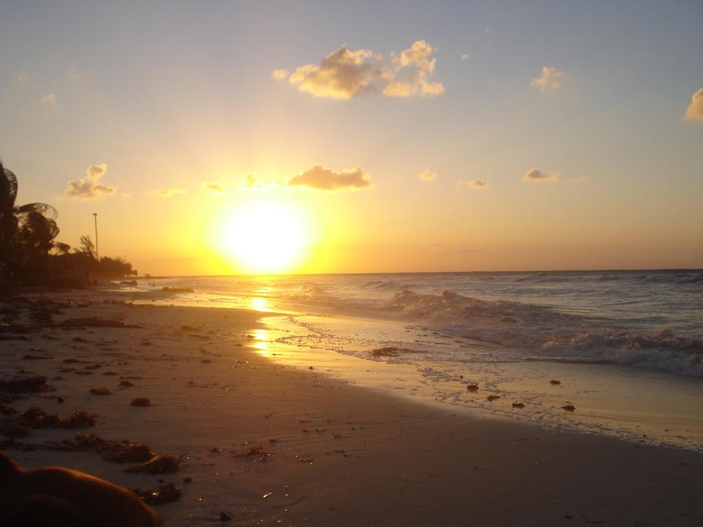 Hostel Beachouse Dive Cozumel
