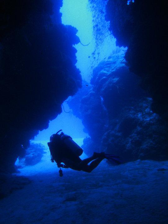 Beachouse Dive Hostel Cozumel