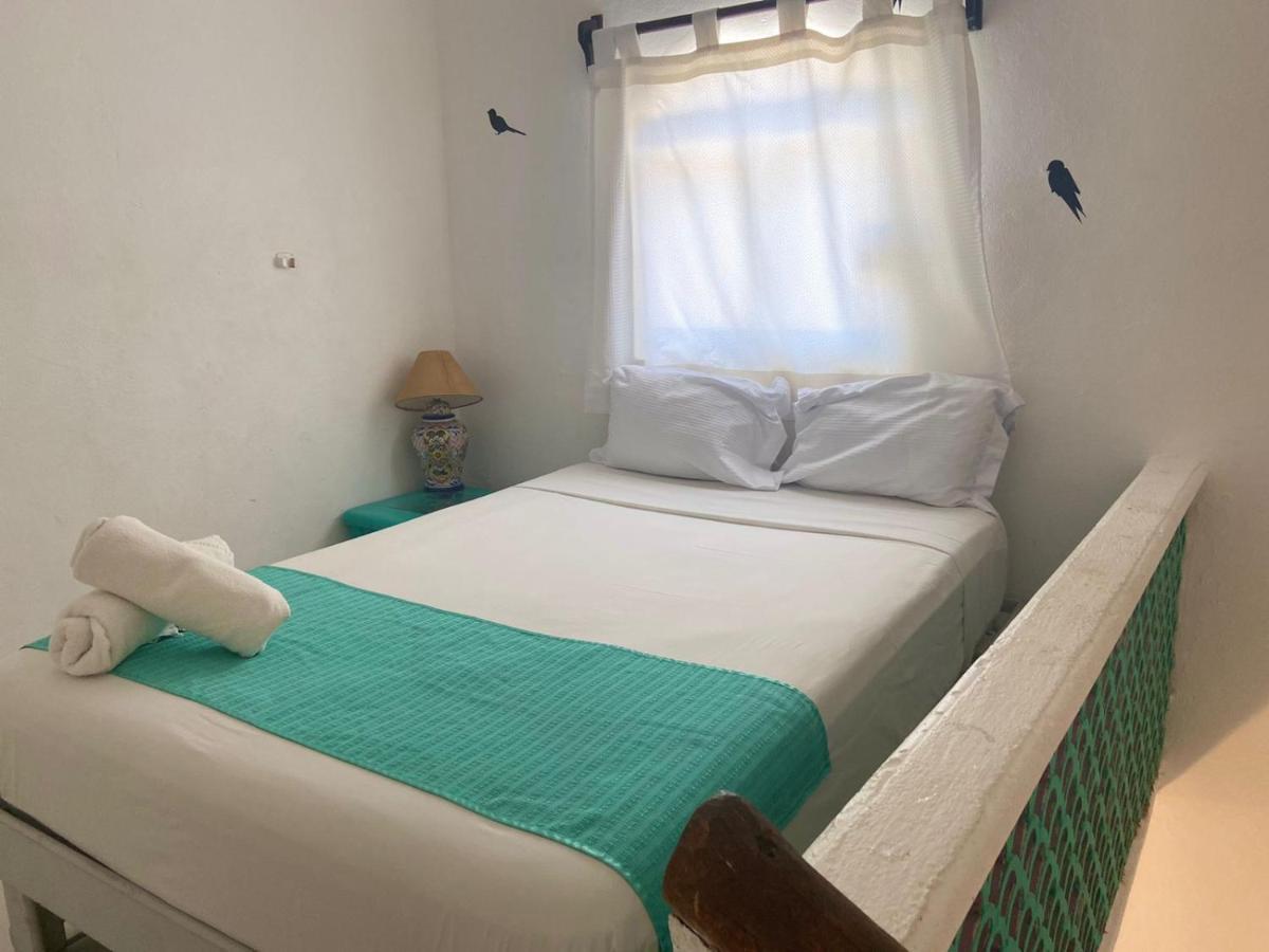 Hostel Hostal Mx 5Th Avenue *