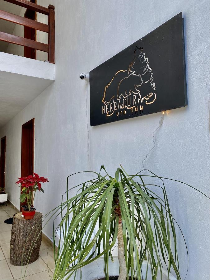 Herradura Vip Apartment Mazamitla