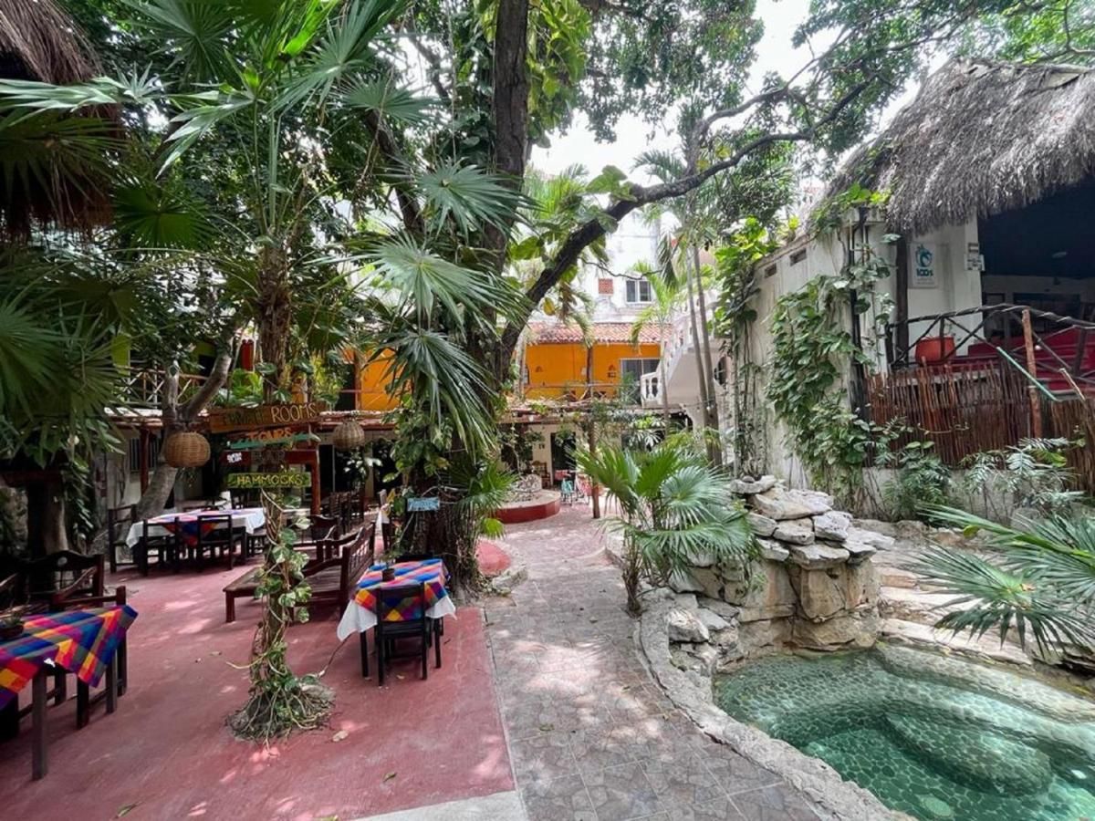 Hostal Mx 5Th Avenue *