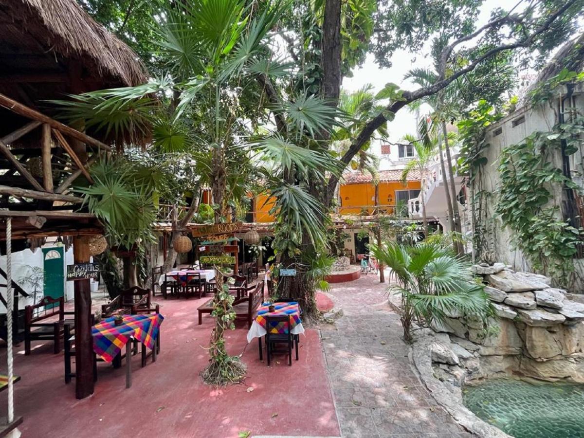 Hostel Hostal Mx 5Th Avenue