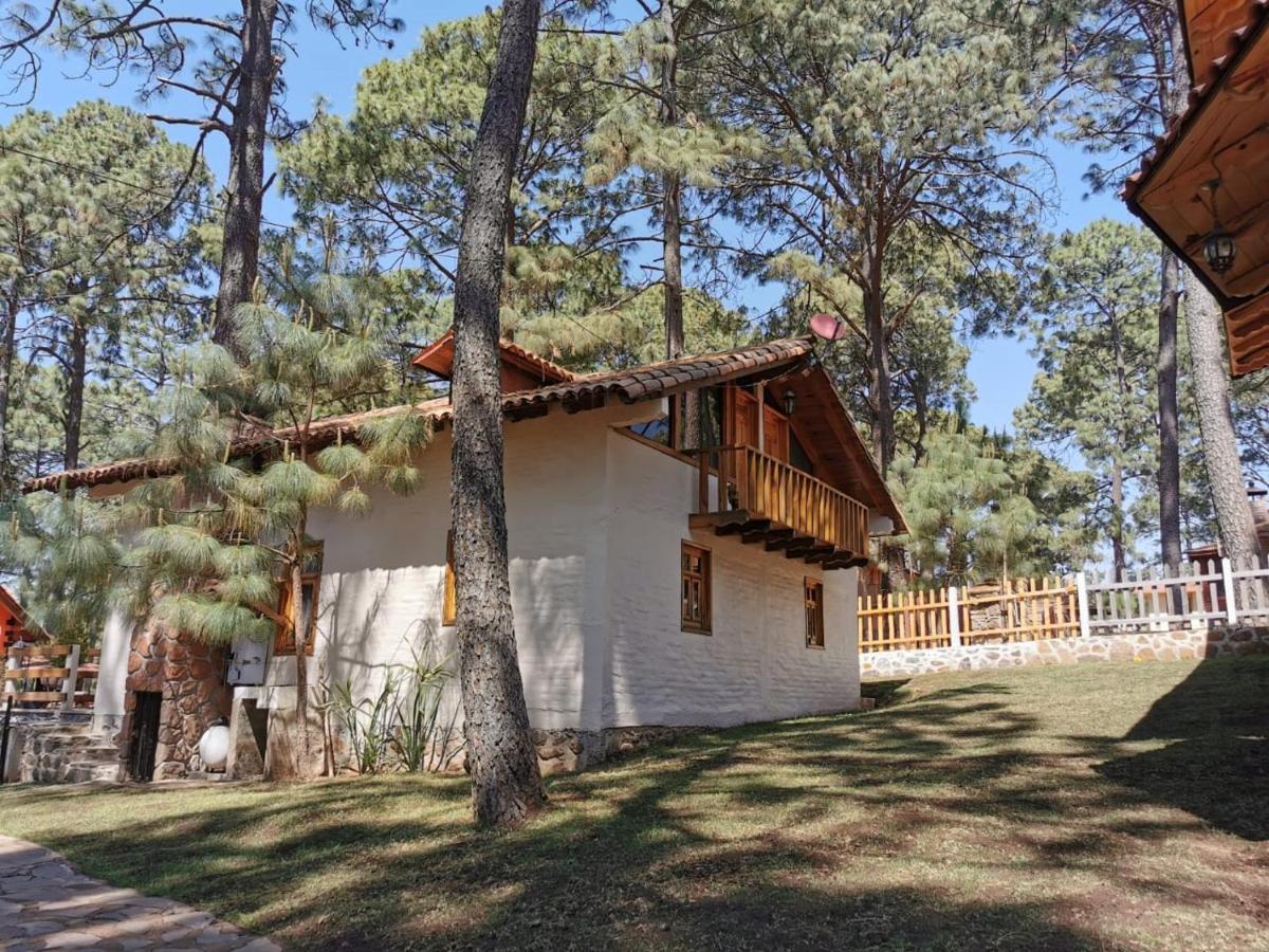 Resort Gemela Luis 12 Personas Mazamitla
