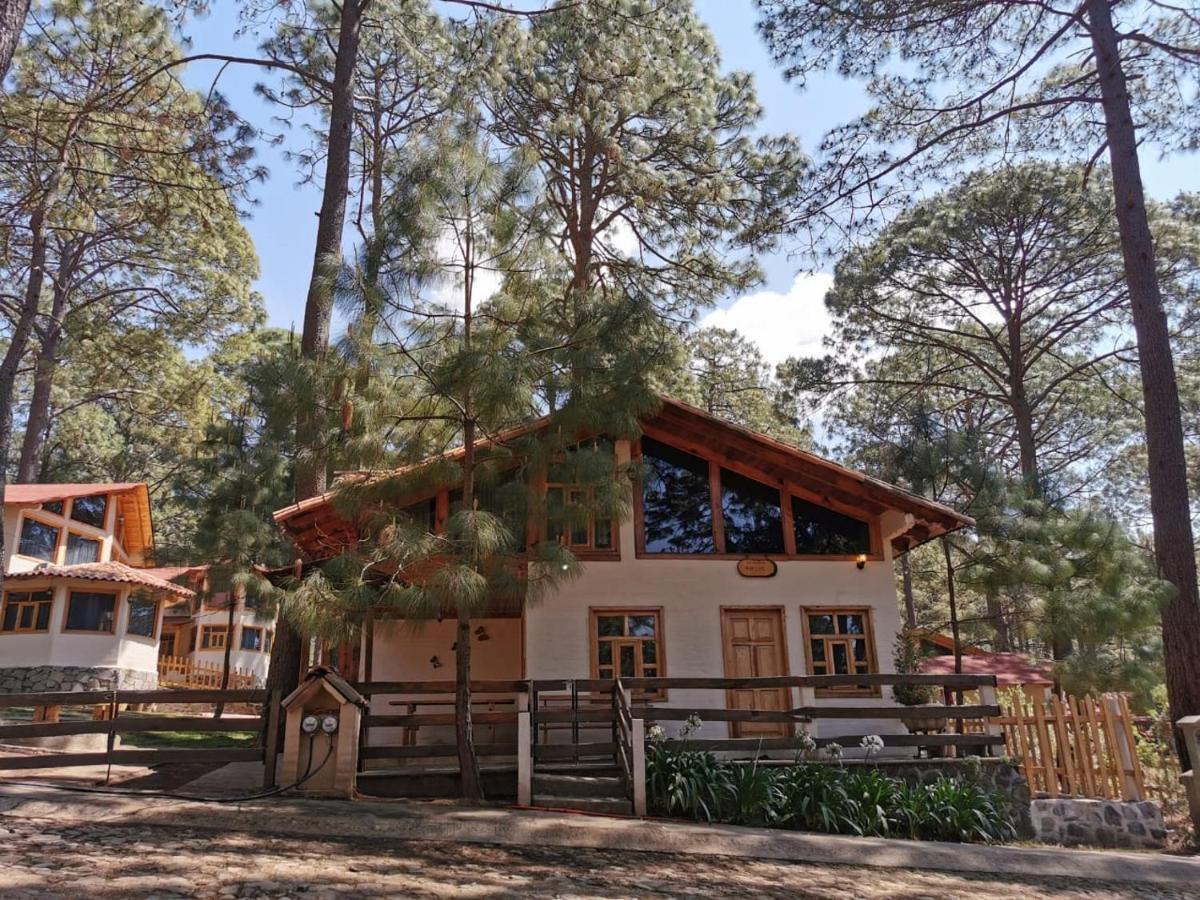 Gemela Luis 12 Personas Resort