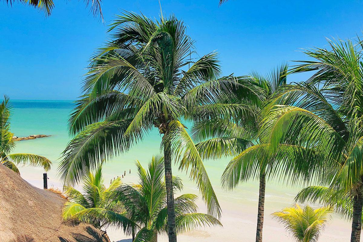 Hotel Beachfront La Palapa - Adults Only Isla Holbox