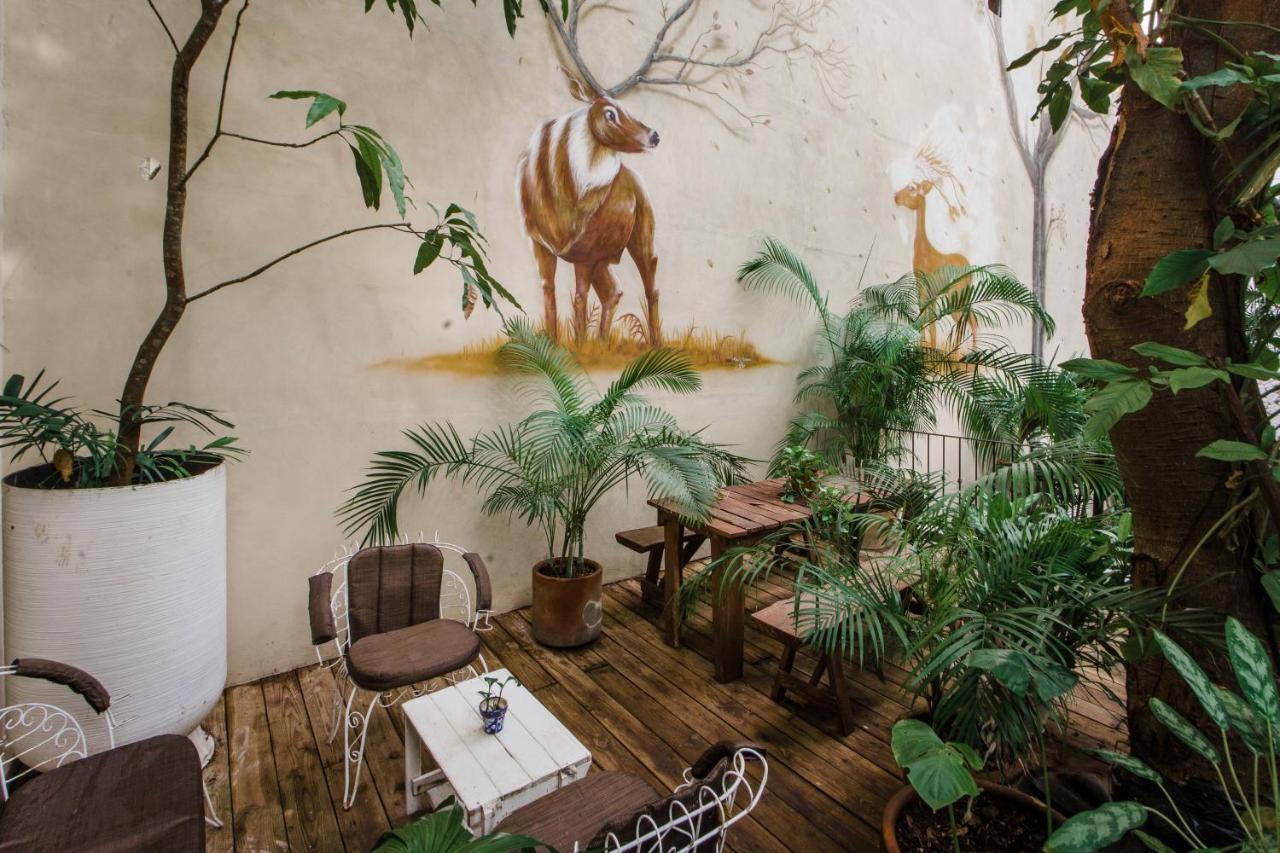 La Semilla A Member Of Design (adults Only) Hotel 4*