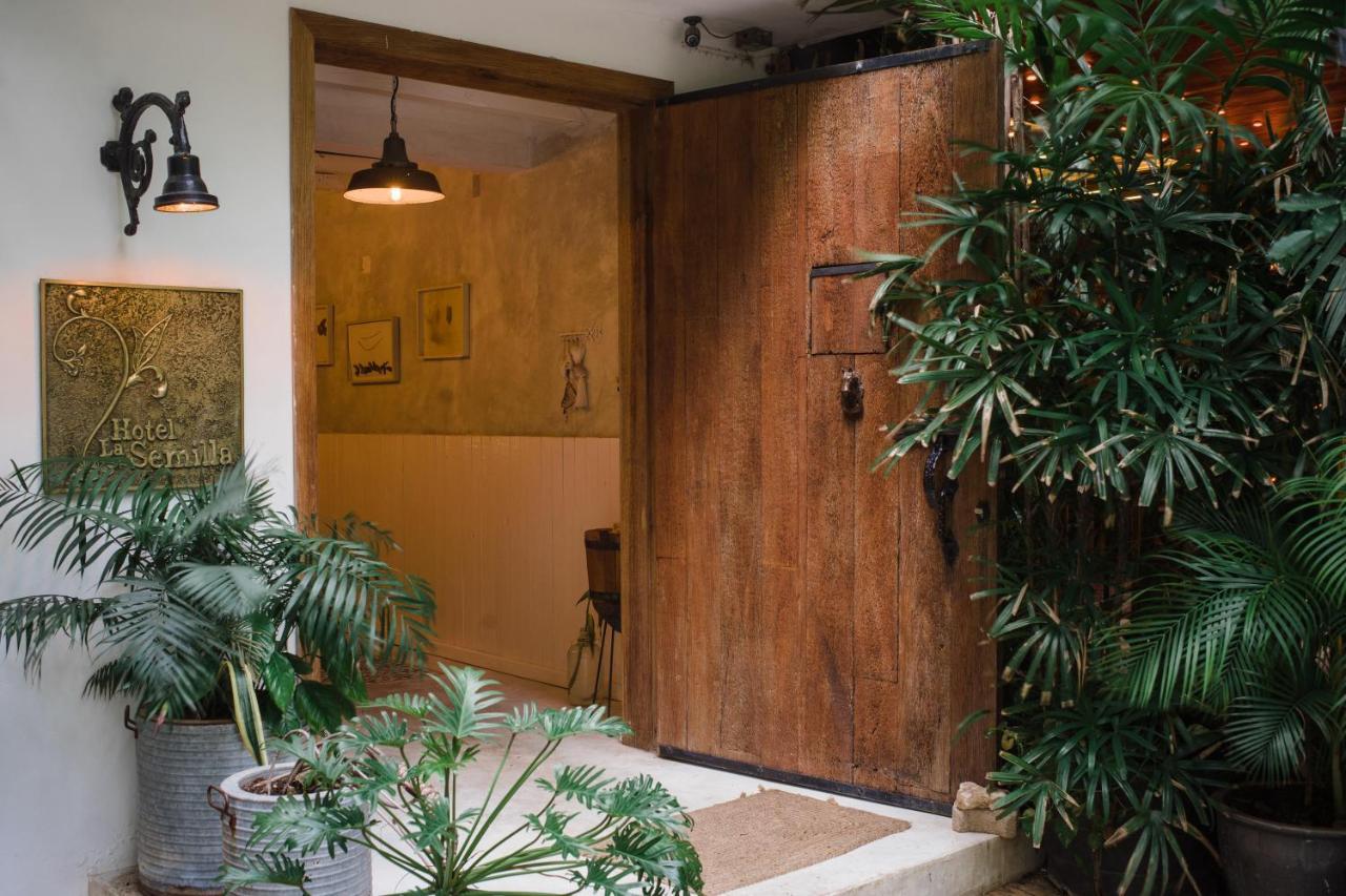 La Semilla A Member Of Design (adults Only) Hotel Playa del Carmen