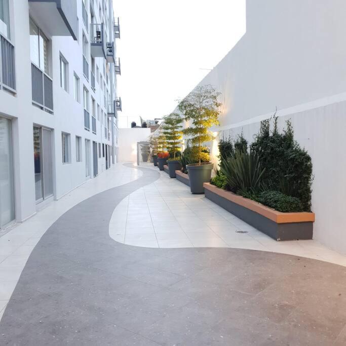 Apartment Nuevo Y Amplio Departamento Con Alberca Y Seguridad En El Centro De