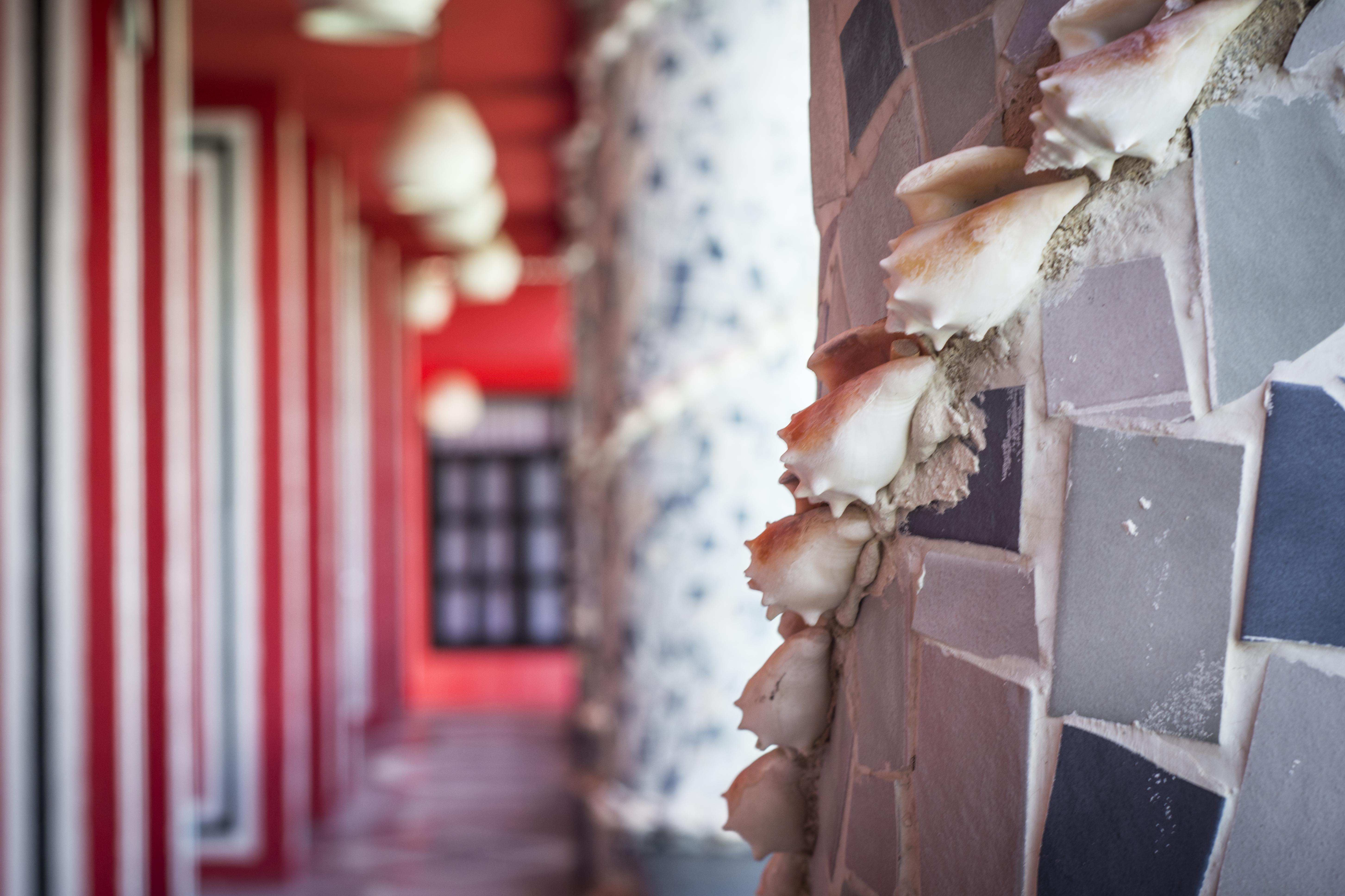 Maya Del Mar On Fifth Avenue Hotel Playa del Carmen