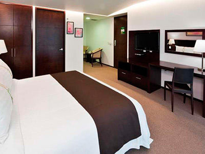 & Medica Sur, An Ihg 4* Mexico City