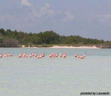 Hotel La Palapa By Xperience Isla Holbox