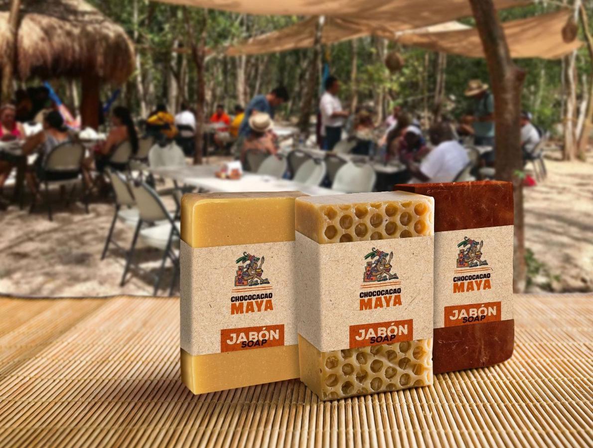 Hotel Kakao & Cenote Experience
