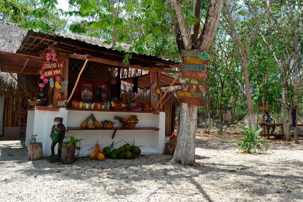 Kakao & Cenote Experience *