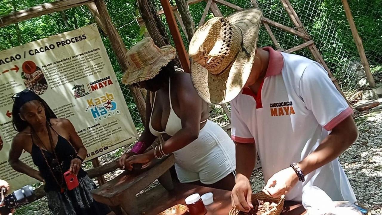 Hotel Kakao & Cenote Experience