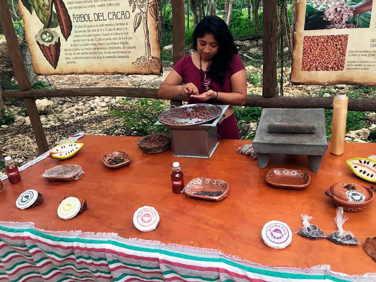 Hotel Kakao & Cenote Experience