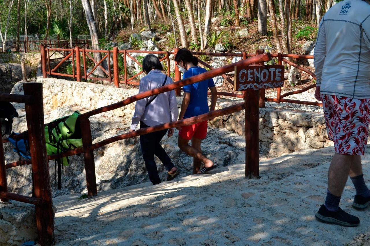 Kakao & Cenote Experience *