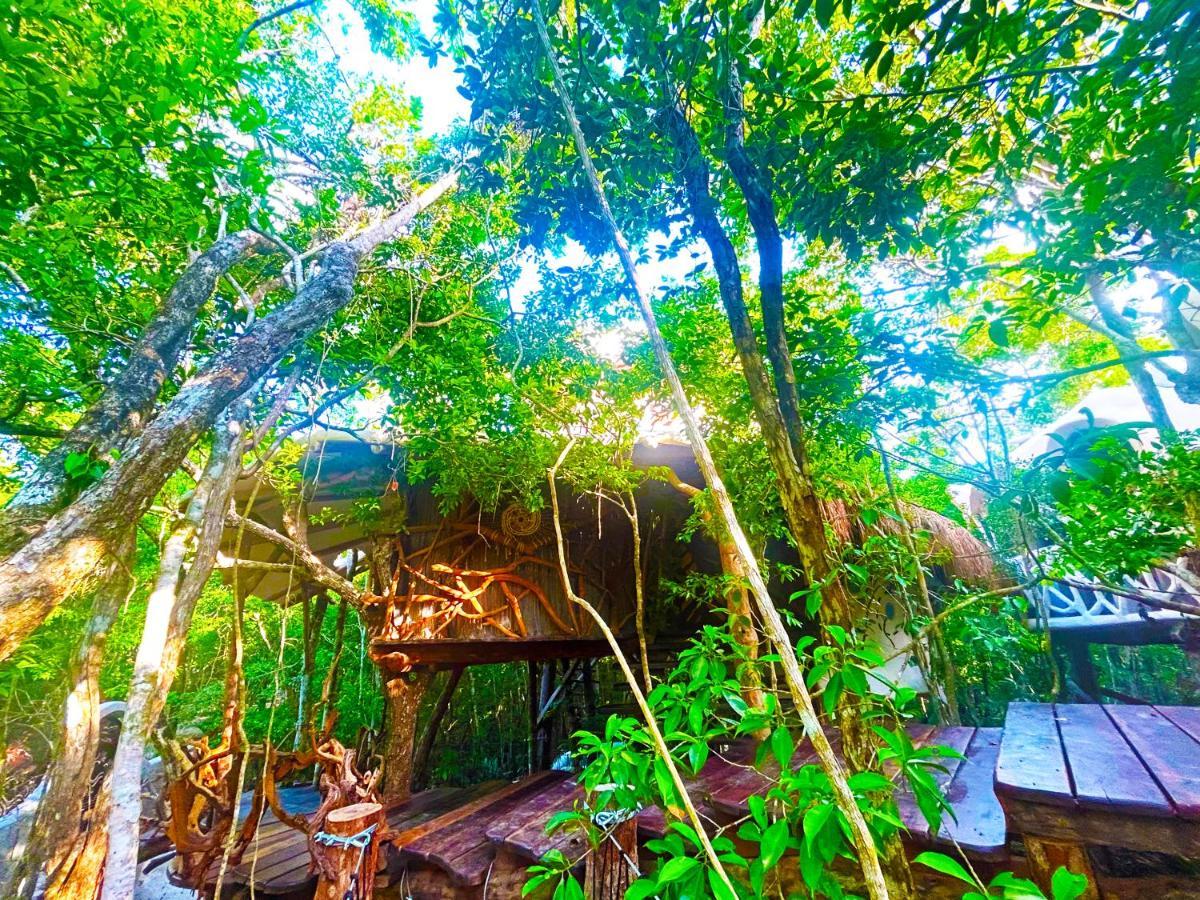 Ikalar * Akumal