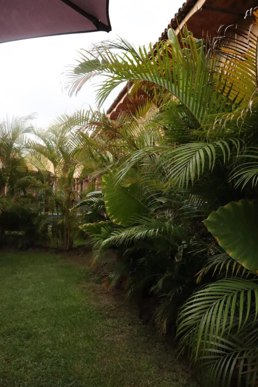 Hotel Boutique Sol Y Luna