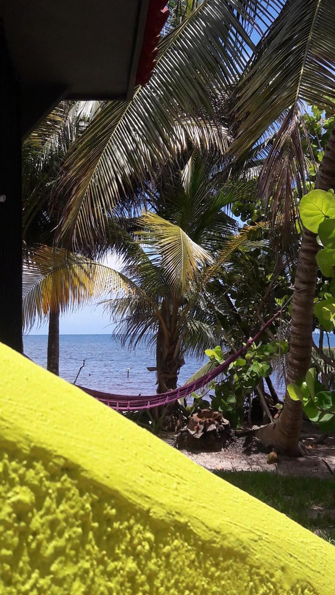 Margarita Del Sol Costa Maya