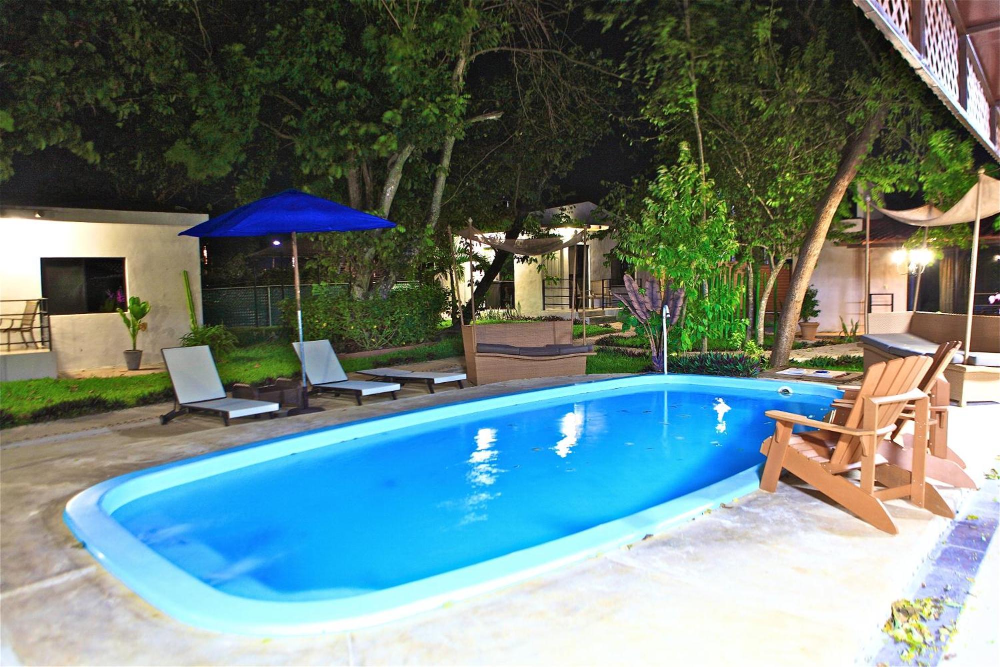 Bambu 3*