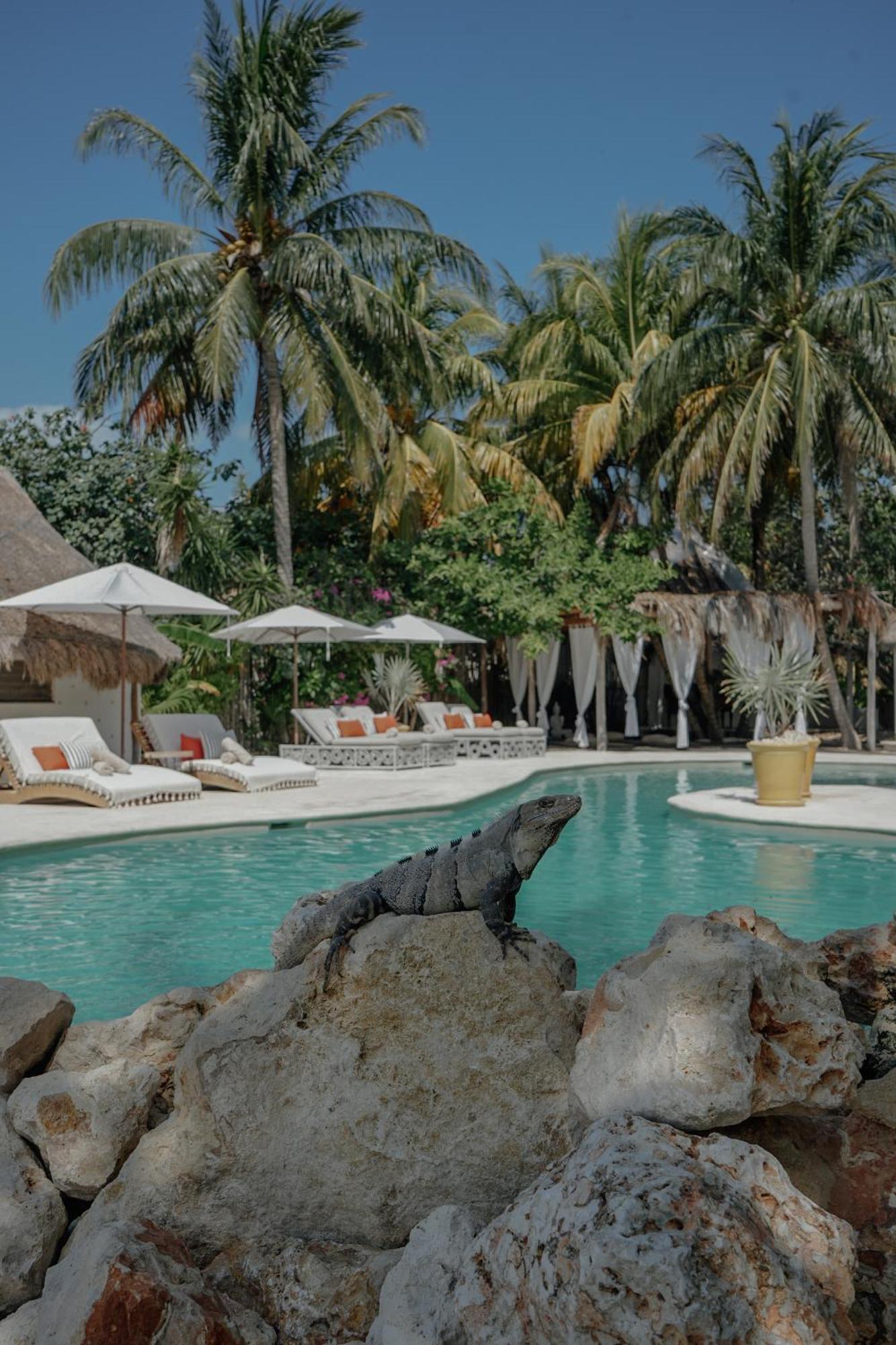 Hotel Casasandra Boutique 4*