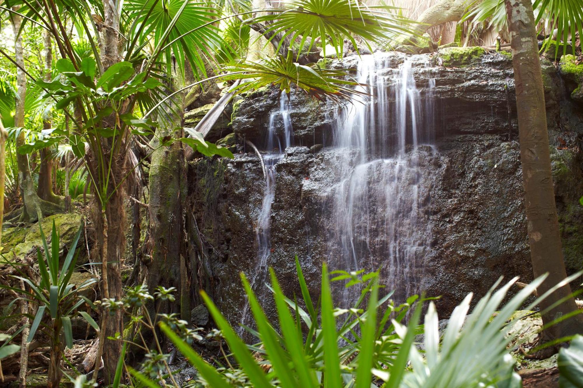 Viceroy Riviera Maya, A Luxury (adults Only) 5*