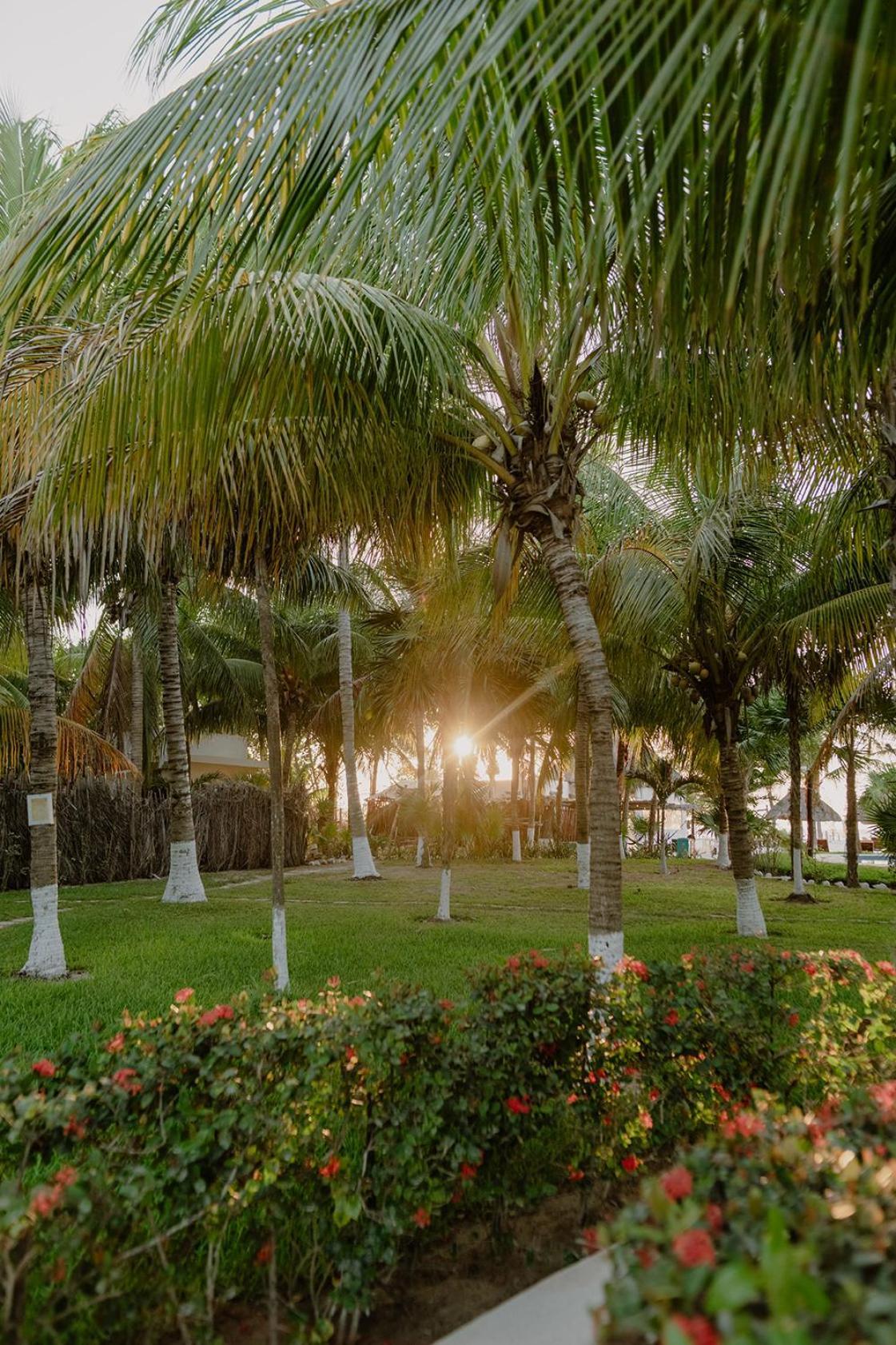 Hotel Puerto Front 4*