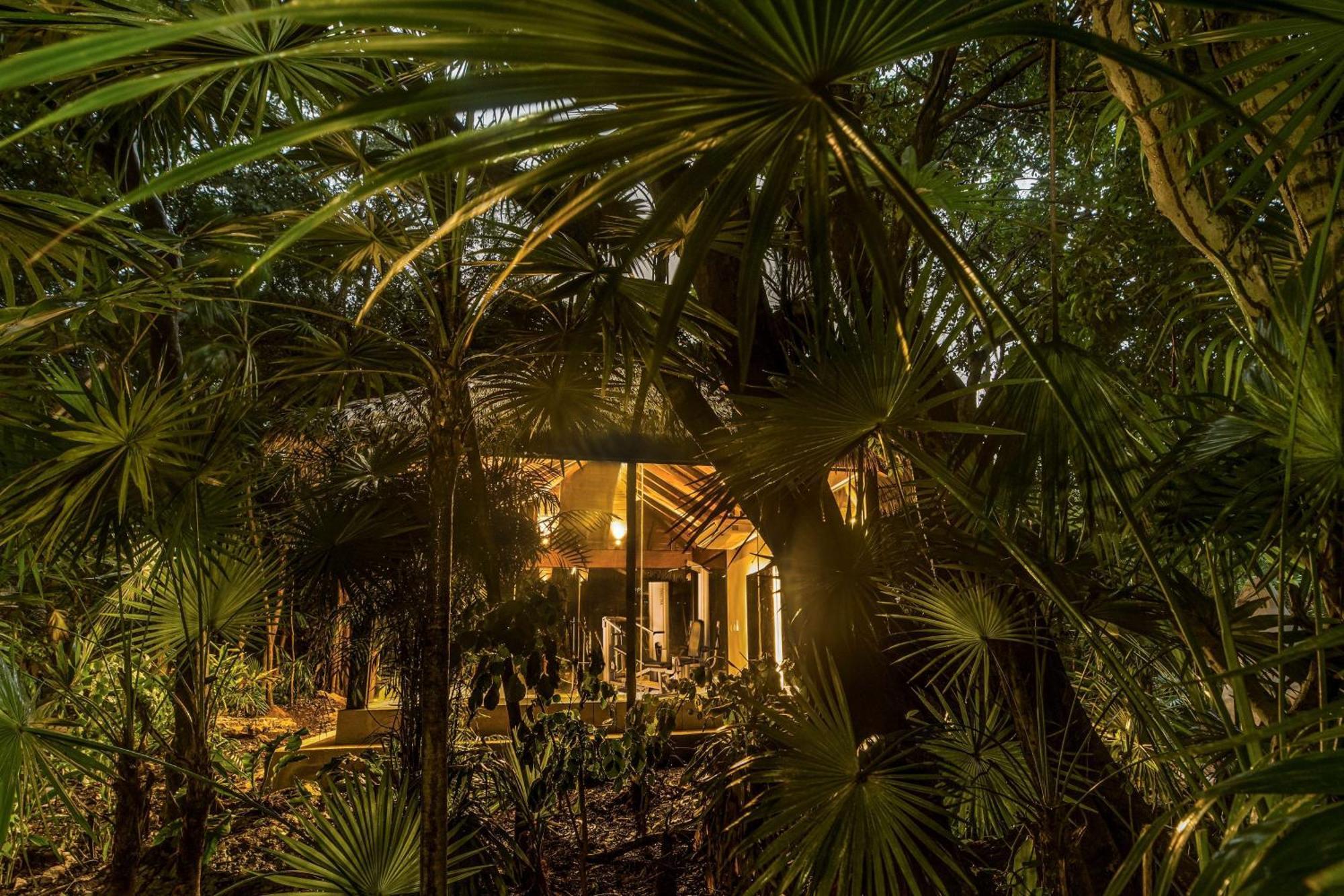 Resort Viceroy Riviera Maya, A Luxury (adults Only)
