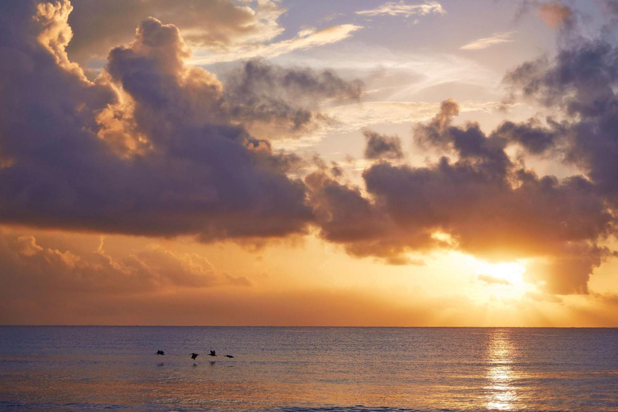 Viceroy Riviera Maya, A Luxury (adults Only) Resort Riviera Maya