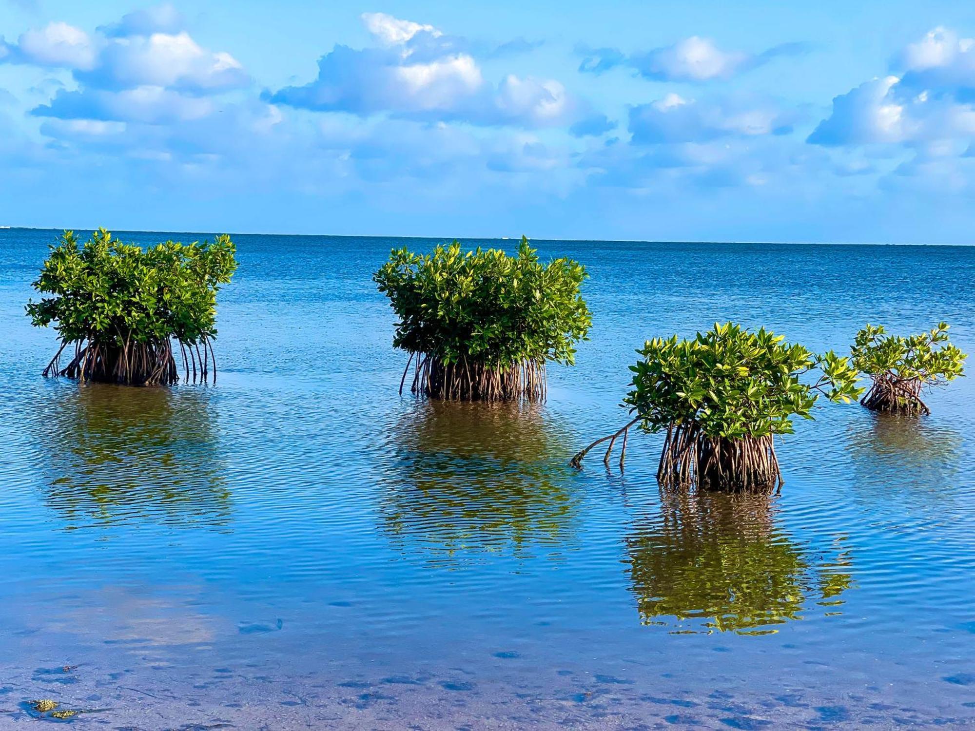 Akuazul Adults Only Cancun
