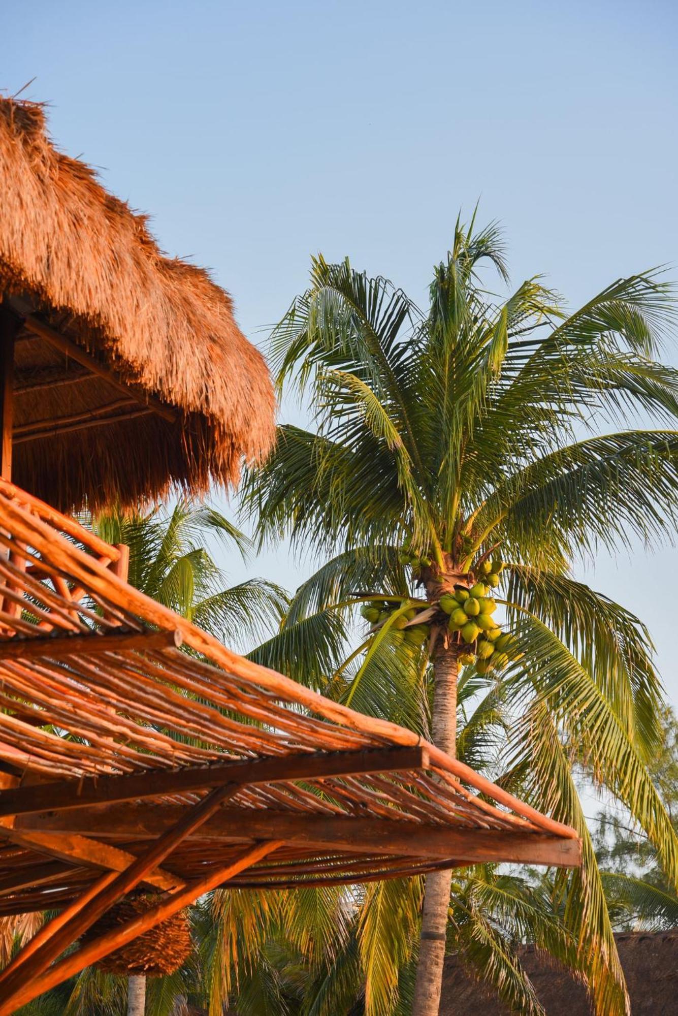 Viceroy Riviera Maya, A Luxury (adults Only) Resort Riviera Maya