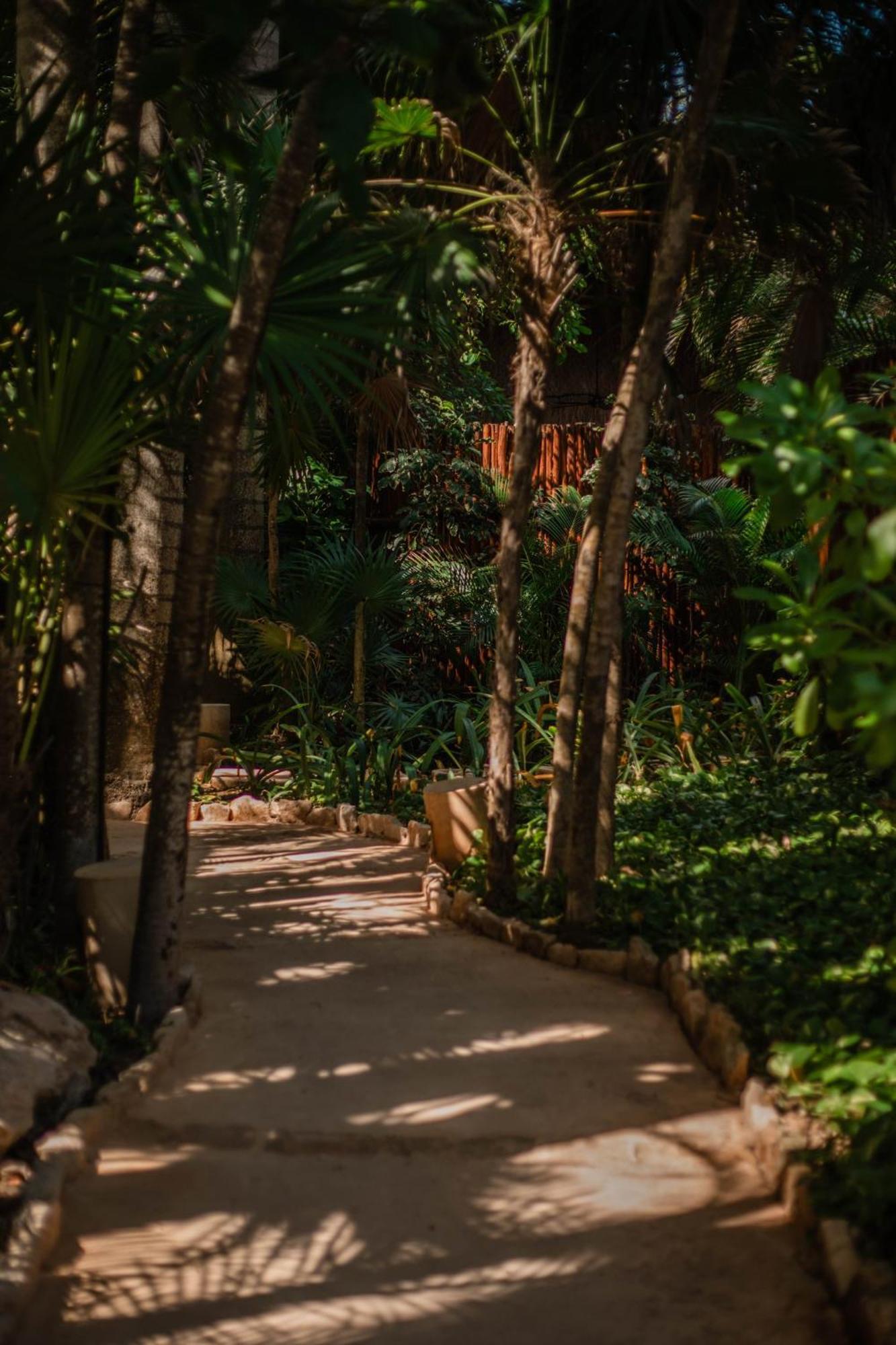 Viceroy Riviera Maya, A Luxury (adults Only) Resort 5*