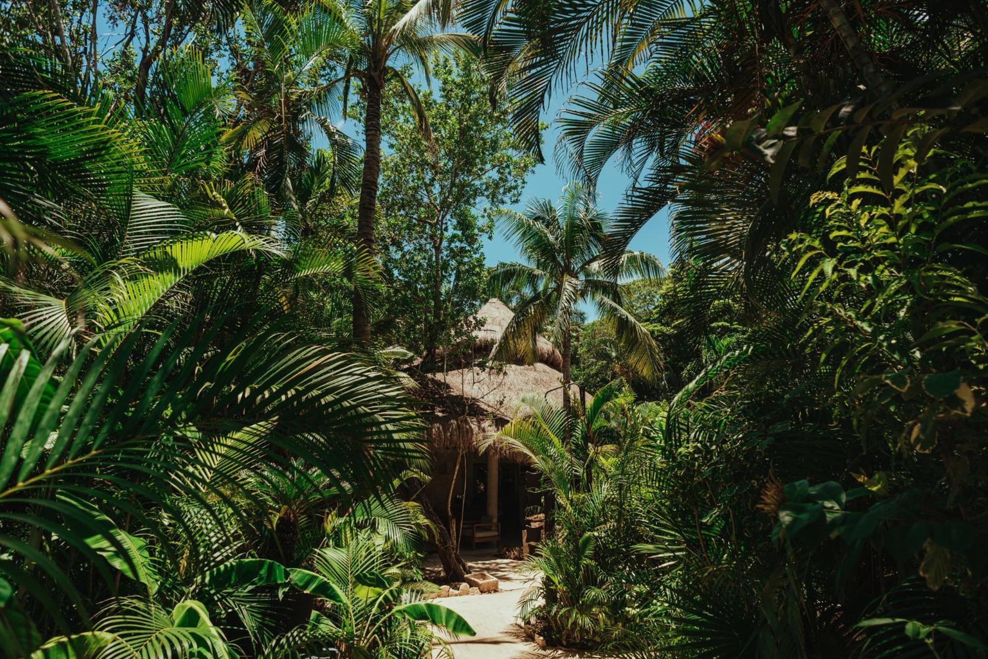 Resort Viceroy Riviera Maya, A Luxury (adults Only) Riviera Maya