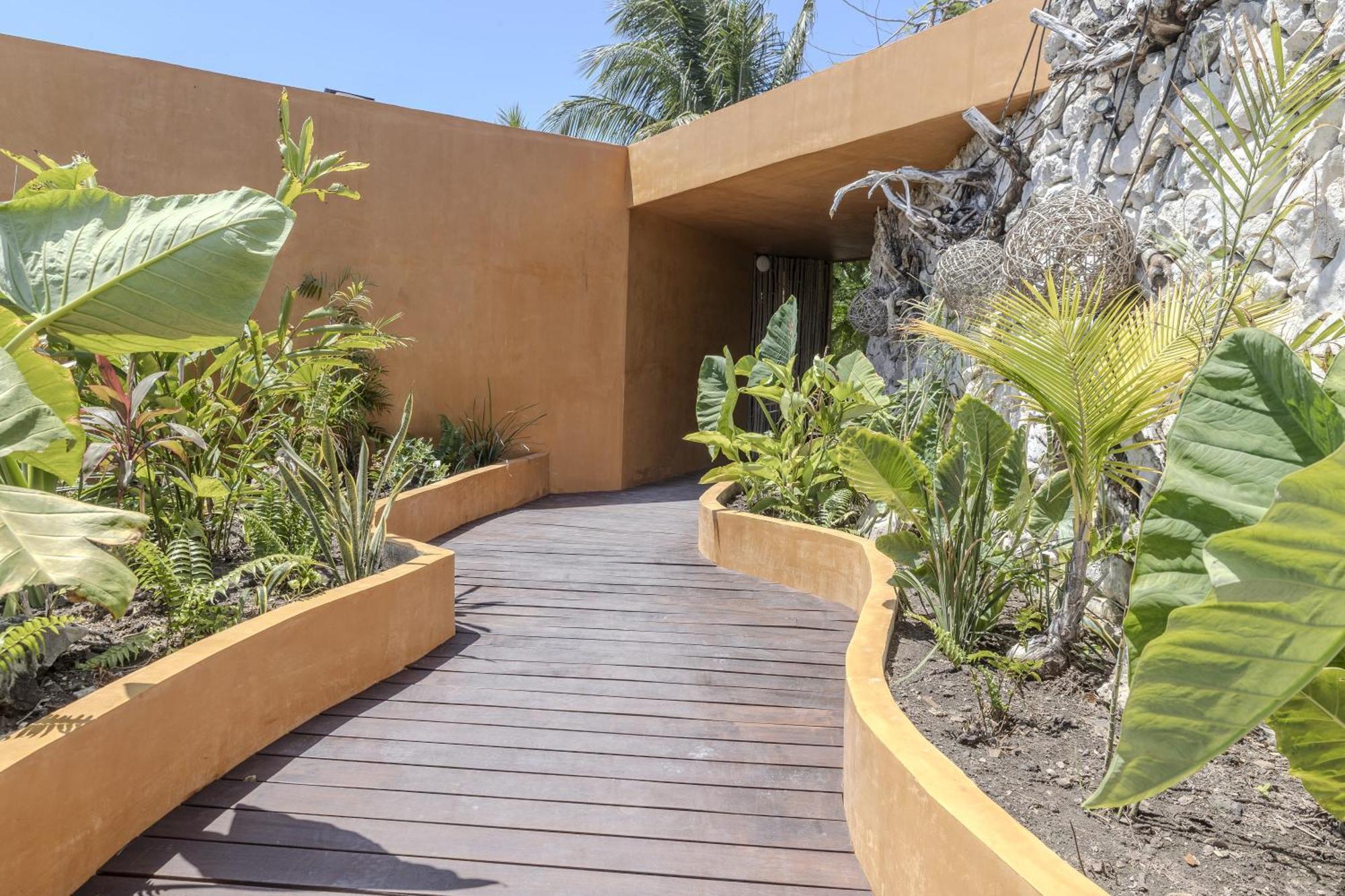 Mayan Monkey - Social (adults Only) 4*