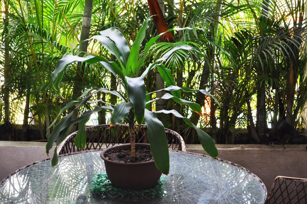 Hacienda De Vallarta Centro 3* Puerto Vallarta