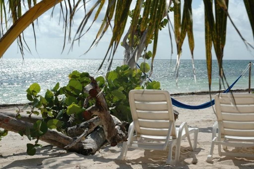 Margarita Del Sol Costa Maya Mahahual