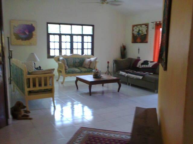 Hostel Beachouse Dive Cozumel