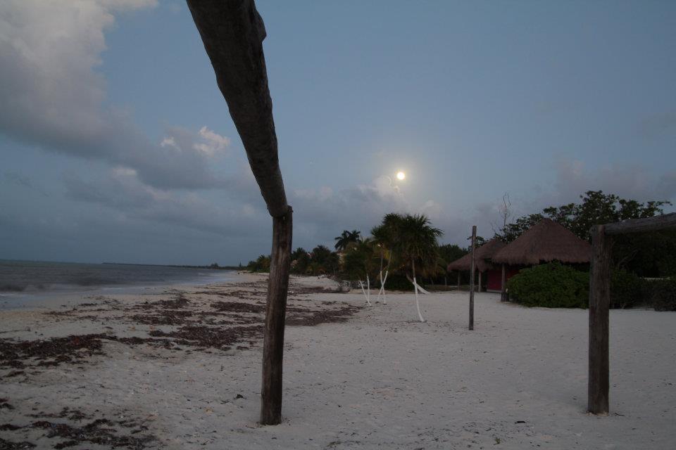 Hostel Beachouse Dive Cozumel