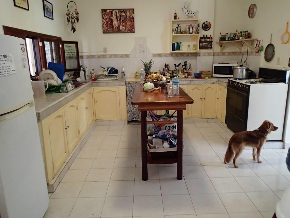 Hostel Beachouse Dive Cozumel