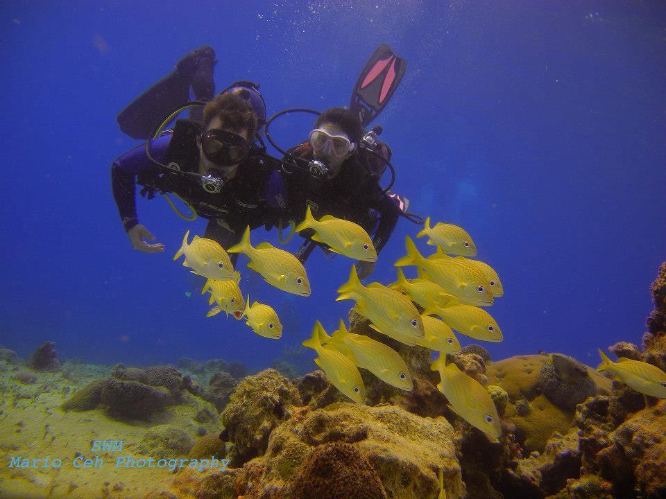 Hostel Beachouse Dive Cozumel