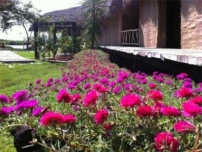 Hotelito Desconocido Hotel 5*