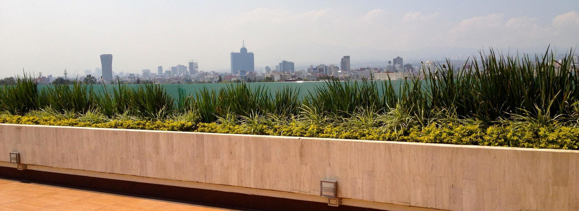 Marbella Hotel Mexico City