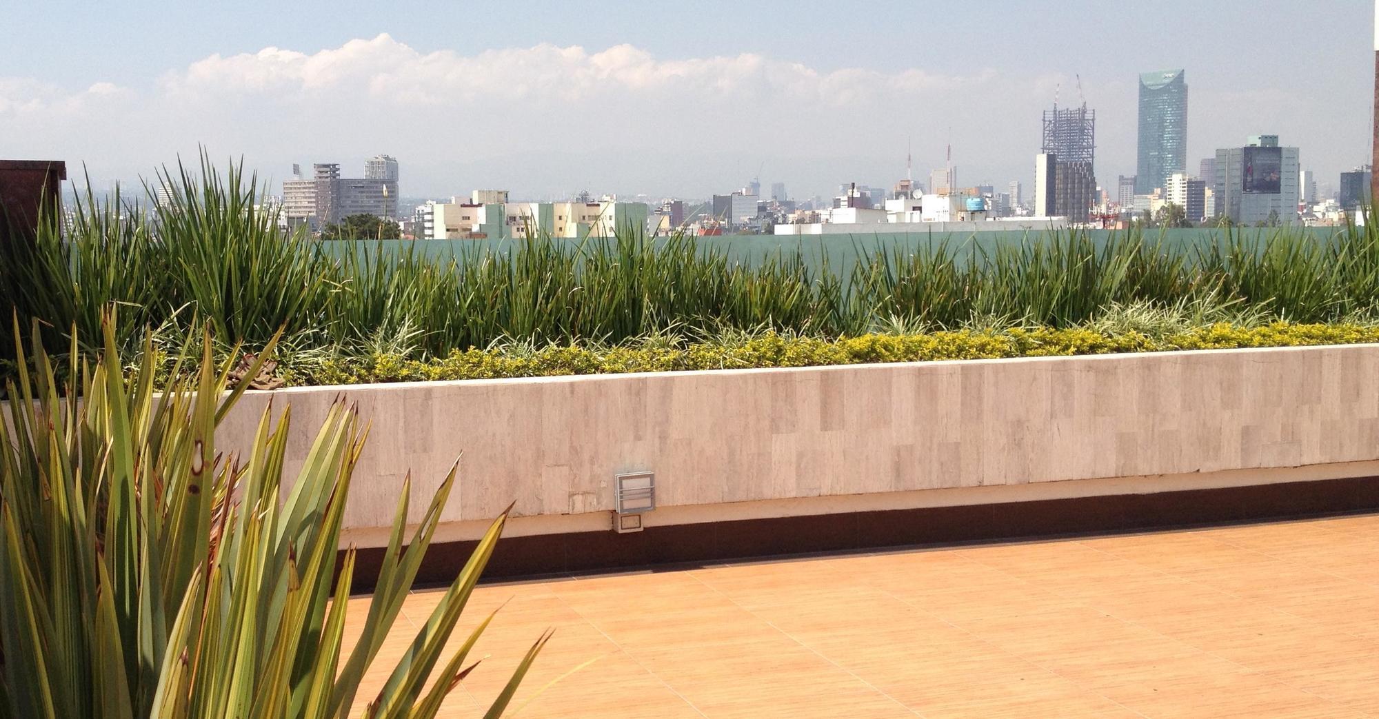 Marbella Mexico City